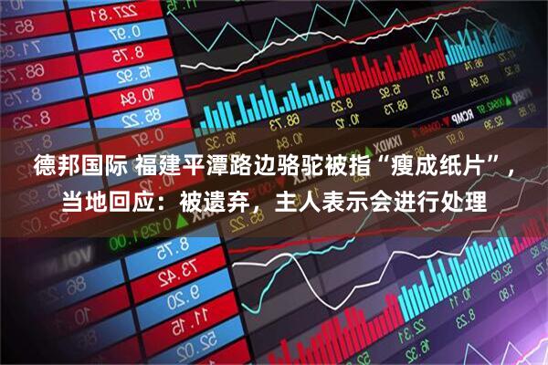 德邦国际 福建平潭路边骆驼被指“瘦成纸片”，当地回应：被遗弃，主人表示会进行处理