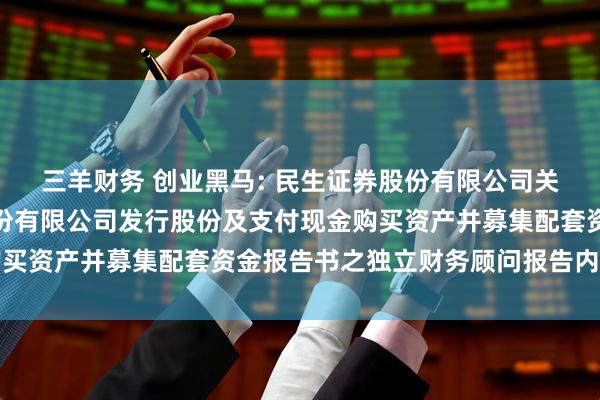 三羊财务 创业黑马: 民生证券股份有限公司关于创业黑马科技集团股份有限公司发行股份及支付现金购买资产并募集配套资金报告书之独立财务顾问报告内容摘要