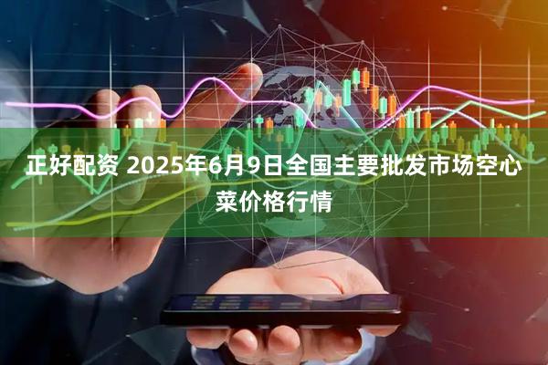 正好配资 2025年6月9日全国主要批发市场空心菜价格行情