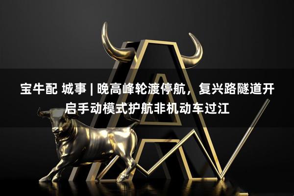宝牛配 城事 | 晚高峰轮渡停航，复兴路隧道开启手动模式护航非机动车过江