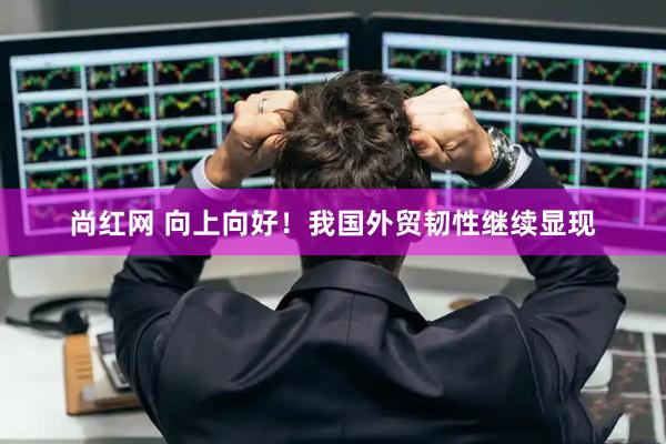 尚红网 向上向好！我国外贸韧性继续显现