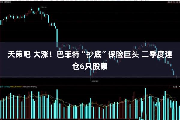 天策吧 大涨！巴菲特“抄底”保险巨头 二季度建仓6只股票