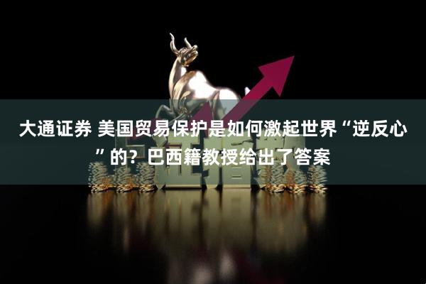 大通证券 美国贸易保护是如何激起世界“逆反心”的？巴西籍教授给出了答案