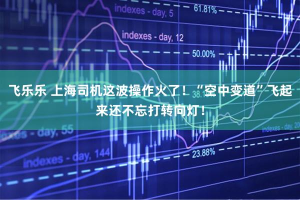 飞乐乐 上海司机这波操作火了！“空中变道”飞起来还不忘打转向灯！