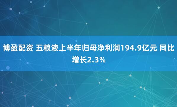 博盈配资 五粮液上半年归母净利润194.9亿元 同比增长2.3%