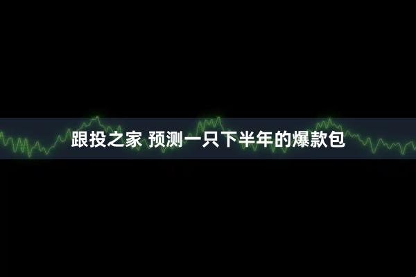 跟投之家 预测一只下半年的爆款包