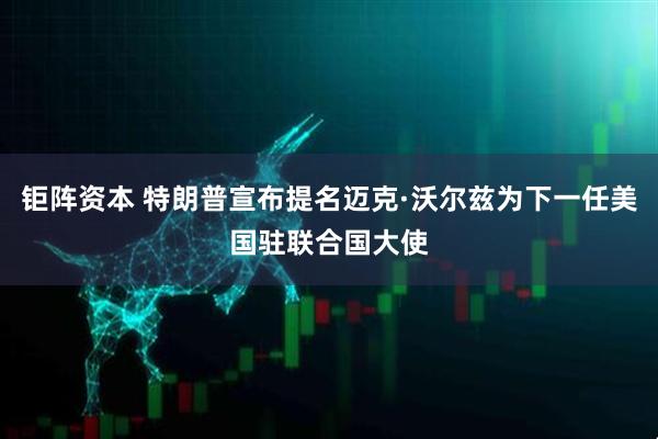 钜阵资本 特朗普宣布提名迈克·沃尔兹为下一任美国驻联合国大使