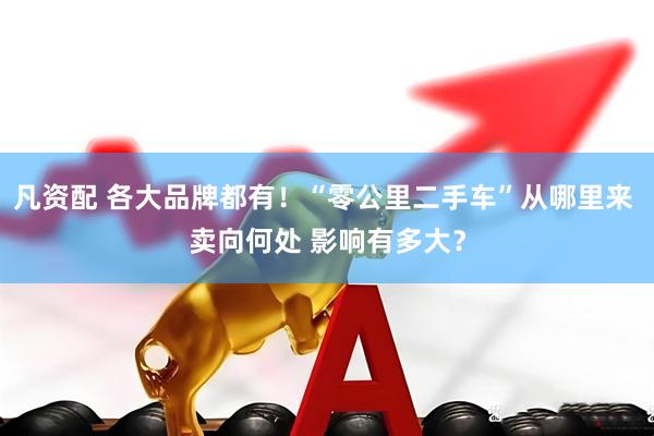凡资配 各大品牌都有！“零公里二手车”从哪里来 卖向何处 影响有多大？