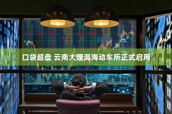 口袋超盘 云南大理洱海动车所正式启用